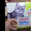 敲敲紙箱上的貓咪圖案...下一秒立馬變3D實體！！影片真的會讓人嚇一大跳！