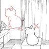 畫貓漫畫的漫畫家被編輯誤會「沒有認真畫稿」，但真的是照著貓咪的動作畫出來的呀QQ