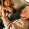 「最喜歡奶奶啦♡」面對心愛奶奶突如其來的造訪，奶寶狗狗露出開心模樣融化人心！