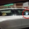 好心人準備去營救狗單獨在車裡的狗，結果發現這是一台「特斯拉」...狗：「有點見識好嗎？」