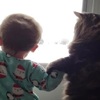 融化了！貓咪牽著寶寶霸氣「宣示主權」，用力牽著牠要求一起看雪：「把手伸出來讓我握著！」