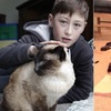 超心機！貓咪以雙重身分同時住在兩戶人家，瞞了10年才被發現！