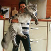 16隻「別人家的貓」會讓你看了覺得自己家的貓咪怎麼這麼瘦小