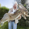 頭好壯壯！世界第一巨兔寶座恐不保？