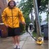 才上傳與狗狗一起穿雨衣的圖，臘腸就被修成「飄浮大師」...真的超爆笑！