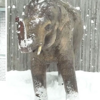 動物園因大雪閉園，員工滑雪前往檢查動物健康，結果動物的反應讓人融化！