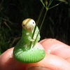 「毛毛蟲抓草」的照片太可愛，於是「修圖大戰」就這樣開始啦！！最後一張真的笑死！（多圖）