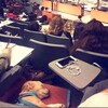 「物理考試，前面這隻整節都在睡....」這7組狗狗超爆笑照片讓人邊笑噴邊融化！