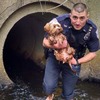 受到驚嚇的流浪狗狗躲進排水道，正義警察杯杯赤腳從髒水溝救出毛孩！