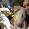 「這次換我陪你了」服務犬罹患腎衰竭末期，麻麻要給牠最美好的最後51天！