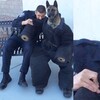 想讓警犬體驗被咬的感覺，警官竟然...汪汪表情讓看的人全笑噴！