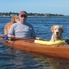 「一個也不能少！」退休醫師特製皮艇與2隻黃金獵犬踏上美麗的冒險旅程