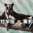 「十二星座動物對照表」比照你的星座,看看你具備什麼動物特質?