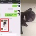 因為睡在廁所,三個月的法鬥「到家未滿72小時」就被主人打死:「笨死了,我再買一個」