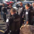 小警犬剛執勤一個月卻突然過世...警察含淚列隊獸醫院前致敬,場面讓人看了都鼻酸