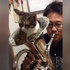 貓咪決定坐在上低音號裡,而牠對聲音的反應會讓你笑開懷~