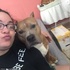 孕婦一怒之下捅死了養了三年的狗狗,實際情況卻讓網友「深思」