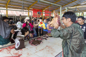 印尼菜市場裡販賣著各種恐怖的肉，任遊客拿起來拍照娛樂，現場用火燒死狗叫賣！