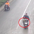 胖金金跟主人走散...路上搭便車去報案,好心司機警告警察:「牠吃太多、我養不起!」
