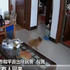 小偷闖進家門偷東西,小博美太友善...全程搖尾巴陪玩!主人看了真的是哭笑不得!