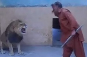 男子拿棍子連續好幾次鏡頭前嚇獅子炫耀，但沒想到獅子「忍耐有限度」...