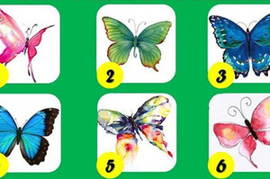 超準！直覺選一隻你最喜歡的蝴蝶！答案將揭曉你「最美的性格形象｣！