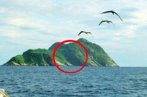 人類禁止進入！世界上「最危險」的島，到底上面有什麼可怕動物？