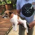 早起泡咖啡發現愛犬怪怪的,近看發現竟是隻蟒蛇緊咬著屁屁...