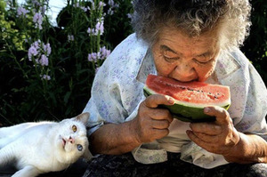 貓咪陪著奶奶一起吃西瓜、一起採花，但故事到了最後....瞬間暖哭一票網友！
