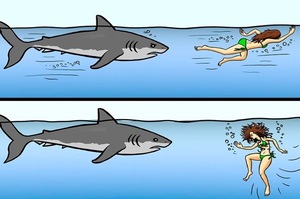 被鯊魚追不能游走！遇到兇猛野生動物怎麼正確活命？教你十三個「活命訣竅」！