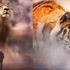 動畫師呈現動物「變大千百倍」的世界,讓人看了不自覺又恐懼又讚嘆!