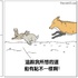 如果動物們會說話【Part 5】!這12張「牠們會說什麼」的插畫真的是又貼切又好笑!