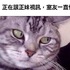 你笑你就輸!本來就很好笑的照片,被加上了「旁白」後變得更好笑XDD