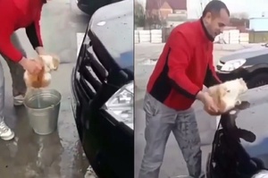 俄男子寒冬中用流浪貓浸水洗車說「是開玩笑」，因虐待動物已遭警方介入調查