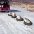 肉肉雪橇犬坐輪胎出門散步...開到一半「ㄉㄨㄞ」不慎掉落的模樣讓人直呼超可愛!(影片)