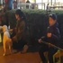 10歲男童街頭拉二胡賣藝,媽媽說:他堅持要靠自己幫愛犬們賺飼料錢!