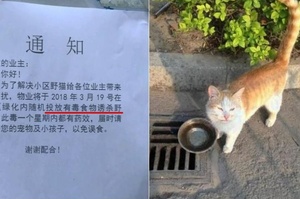 流浪貓造成住戶困擾，物業貼出「毒死」公告來「解決問題」...住戶們一看火冒三丈！