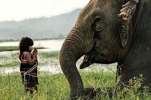 越南6歲女孩馴服巨象，結下深厚友誼！