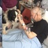 醫院破例讓老爺爺和愛犬見最後一面,當晚他帶着微笑離開了世界…(影片)