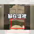 蹲馬桶一直被一雙「不懷好意」的眼神騷擾,揭發真相後...網羨慕「這hen可以啊!!」(影片)
