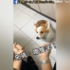 柯基用小短手在主人手裡翻找小番茄, 超可愛模樣讓人忍不住重播好幾遍(影片)