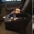 網友準備開車出去,打開車門一看,副駕駛怎麼有隻狗?
