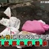 泯滅人性!將浪犬裝到麻布袋!悶死就算他們活該?