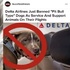 最近,關於比特犬的禁令太多了...