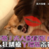 員外主人對著家裏的丫鬟柴瘋狂騷擾:「老爺不要!夫人會看到!」