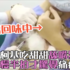 天然呆柯基吃甜甜狂回味 打完針慢半拍驚覺痛痛的