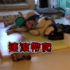 汪星人兩眼無神的在地上被弟弟徒手攀爬,生無可戀的模樣弄笑網友。