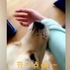 「我帶你去一個地方」狗狗挽留主人,不想讓她去上班