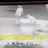 主人不鏟狗屎被拍,居民立照片嘲諷