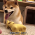 區別對待!一見爸爸柴犬馬上變臉
